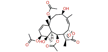 Briaexcavatin N